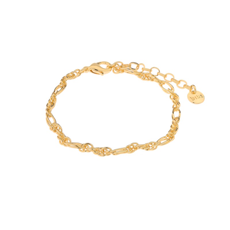 Controversieel schakelaar analogie Biba armband kleine schakel – goud – Usia Shop